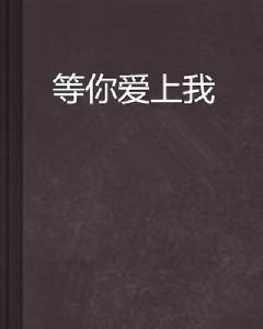 等你愛上我[等你愛上我幸福的味道的小說]