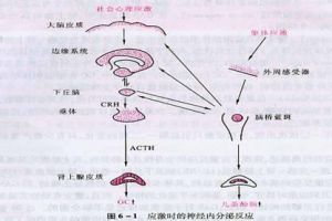 急性心因性反應