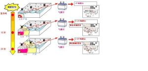 測震學科地震預報方法和技術