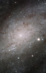 NGC 300