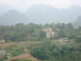 梁子街村[雲南麻栗坡縣馬街鄉梁子街村]