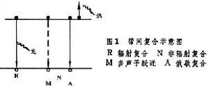 半導體發光二極體