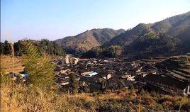 謝坑村[福建省寧德市屏南縣嶺下鄉謝坑村]