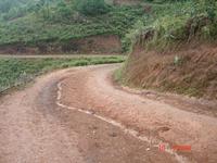 進村道路