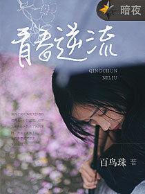 青春逆流[暗夜文學網小說]