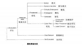 瀕危等級標準