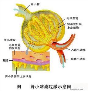 陰道異物