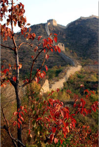 牆子路長城