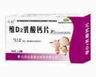 維d2乳酸鈣片