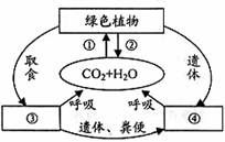 氧循環