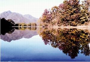 大楊山國家森林公園