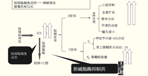 神經藥理學