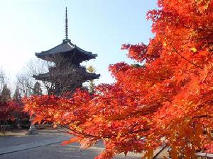 五重塔[日本仿唐木構建築]