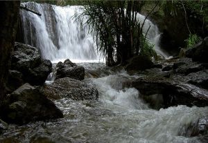 富國島