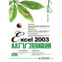 《Excel2003從入門到精通》