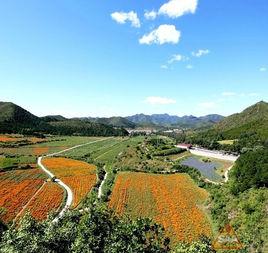 南灣村[北京市延慶縣四海鎮下轄村]