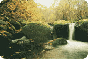 （圖）湯溝風景區