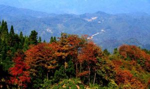 谷城薤山旅遊度假區