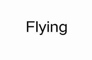 Flying[英語詞語]