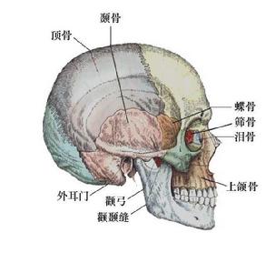 先天性腦積水