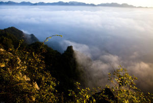 中武當天柱山