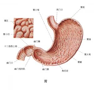 （圖）急性壞死性小腸炎