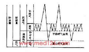 （圖）肺容量及其組成