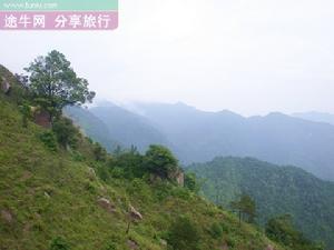 天井山