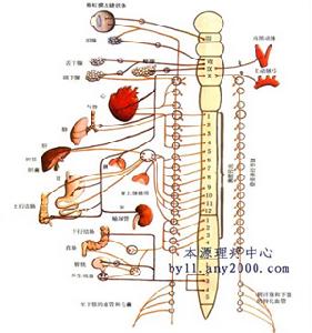 神經系統先天性疾病