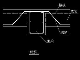 鴨筋