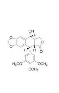 鬼臼毒素酊