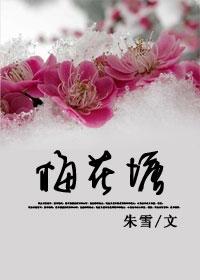 《梅花塘》小說封面