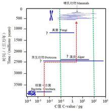 圖4 原核生物和真核生物基因組大小的比較