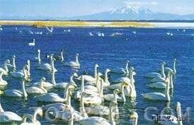 北京鳥類濕地自然保護區