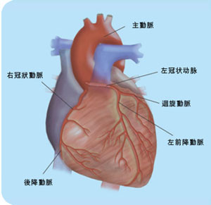 尿毒症性心包炎