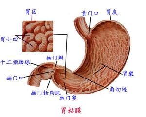 消化系統疾病並存精神障礙