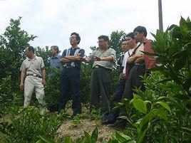 小馬村[北京市房山區青龍湖鎮小馬村]