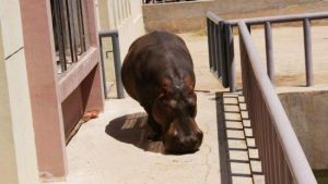 青藏高原野生動物園海洋館