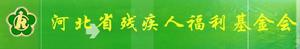 （圖）河北省殘疾人福利基金會