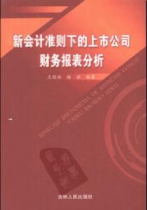 新會計準則下的上市公司財務報表分析 