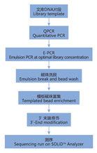 全基因組重測序