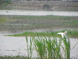 鑫城湖公園