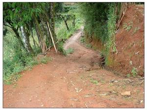 扁練自然村通村道路