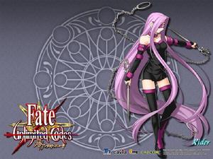 fate/stay night[TYPE-MOON發行的文字冒險遊戲]