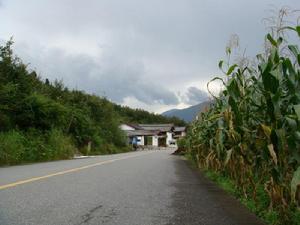 柏油路