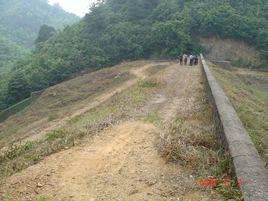 魯家村[雲南景東縣景福鄉下轄村]