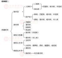 法律關係主體