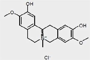 鹽酸黃柏鹼