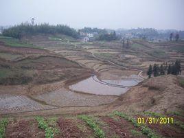 建福村[雲南省元陽縣黃茅嶺鄉下轄村]