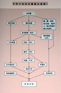 中華盧氏源流示意圖A